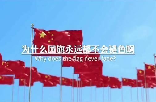 小猫钓鱼正版下载中文版